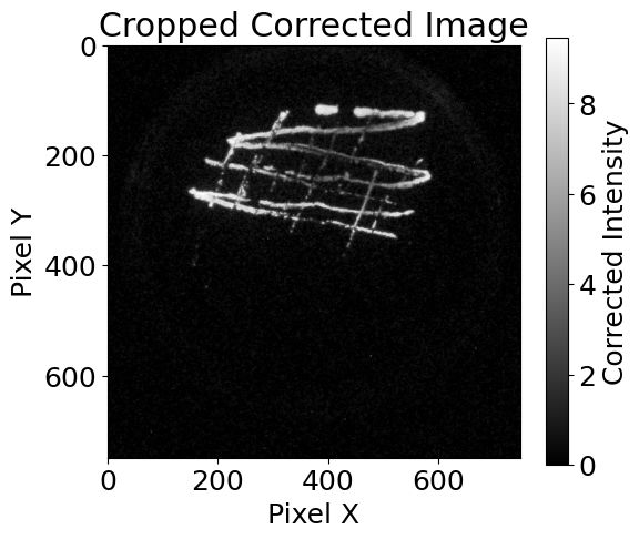 Bioluminescent iLux bacteria on an agar plate imaged by OpenIVIS